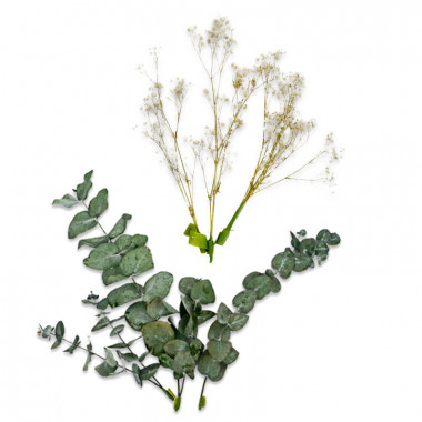 Zestaw dekoracyjny z suszonych kwiatów - Eukaliptus i gipsówka